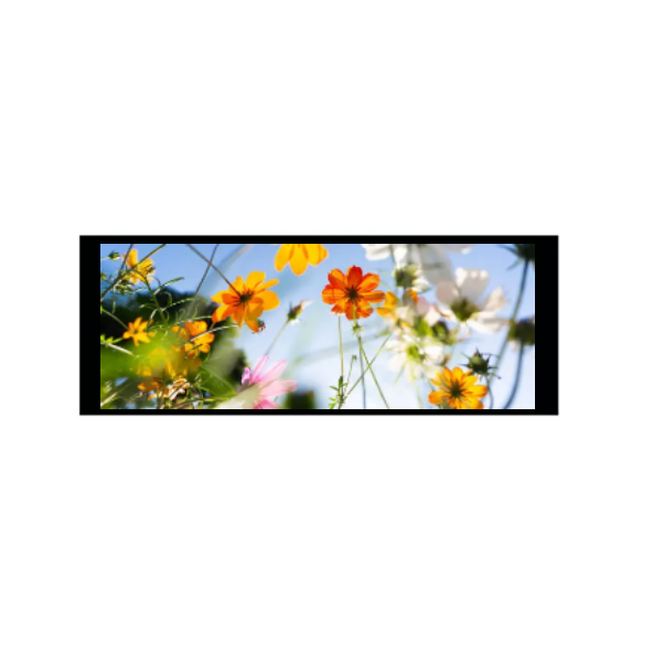 6,86 inci 480 × 1280 IPS TFT Modul